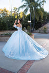 Load image into Gallery viewer, LA Merchandise LA245 Floral Applique Sheer Glitter Quinceanera Gown
