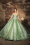Load image into Gallery viewer, LA Merchandise LA245 Floral Applique Sheer Glitter Quinceanera Gown