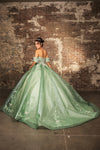 Load image into Gallery viewer, LA Merchandise LA245 Floral Applique Sheer Glitter Quinceanera Gown