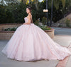 Load image into Gallery viewer, LA Merchandise LA246 Butterfly Applique Strapless Quince Ball Gown