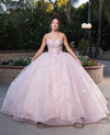 Load image into Gallery viewer, LA Merchandise LA246 Butterfly Applique Strapless Quince Ball Gown
