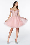 Load image into Gallery viewer, LA Merchandise LAR0132 Glitter Tulle Sweetheart A-line Hoco Dress - BLUSH - Dress LA Merchandise