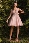 Load image into Gallery viewer, LA Merchandise LAR0190 Sheer Lace V-Neck Short Homecoming Dress - BLUSH - Dress LA Merchandise