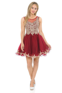 Sleeveless metallic lace applique & rhinestone short mesh dress- LN8101 - Burgundy - LA Merchandise