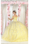 Load image into Gallery viewer, LA Merchandise LA198 Light Up Floral Applique Sweet 16 Ball Gown - - LA Merchandise
