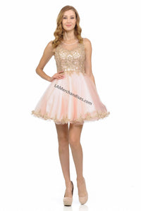 Sleeveless metallic lace applique & rhinestone short mesh dress- LN8101 - Blush - LA Merchandise