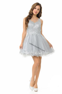 Sleeveless metallic lace applique & rhinestone short mesh dress- LN8101 - Silver - LA Merchandise