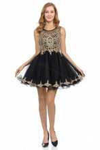 Load image into Gallery viewer, Sleeveless metallic lace applique &amp; rhinestone short mesh dress- LN8101 - Black - LA Merchandise