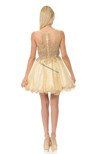 Sleeveless metallic lace applique & rhinestone short mesh dress- LN8101 - - LA Merchandise