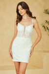 Load image into Gallery viewer, Wholesale Corset Mini Dress with Sheer Bodice Spaghetti Straps &amp; Lace-Up Back Dress by LAAJQ1100S - WHITE - Dresses LAA