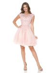 Load image into Gallery viewer, LA Merchandise LAF8177 Lace Applique Cap Sleeve Short Tulle Party Dress with Rhinestone Belt