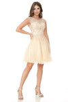 Load image into Gallery viewer, LA Merchandise LAF8177 Lace Applique Cap Sleeve Short Tulle Party Dress with Rhinestone Belt