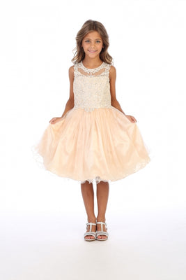 Sleeveless Embroidered Little Girls Short Tulle Party Dress- LAG5266