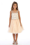 Load image into Gallery viewer, Cute Little Girls Short Tulle Corset Pageant Party Dress - LAG5264