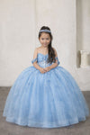 Load image into Gallery viewer, LA Merchandise LAZSCK328 Girls 3D Floral Illusion Corset A-Line Gown with Back Bow