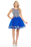 Load image into Gallery viewer, Sleeveless Illusion Neck Embroidered Short Dress with Tulle Skirt for Parties By LAF8101