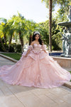 Load image into Gallery viewer, Wholesale Quinceañera Ball Gown with Corset Bodice Tiered Tulle Skirt &amp; Lace Appliqué By LA289