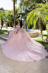 Load image into Gallery viewer, Wholesale Quinceañera Ball Gown with Corset Bodice Tiered Tulle Skirt &amp; Lace Appliqué By LA289