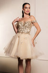 Load image into Gallery viewer, Wholesale Homecoming Sweetheart Neckline A-Line Dress By LA2105