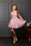 Load image into Gallery viewer, Wholesale Semi Formal Hoco Short V-Neck A-Line Dress By LA2107 - - Dress LA Merchandise