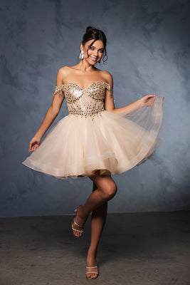 Wholesale Graduation Off Shoulder Sleeveless Hoco Dress By LA2129