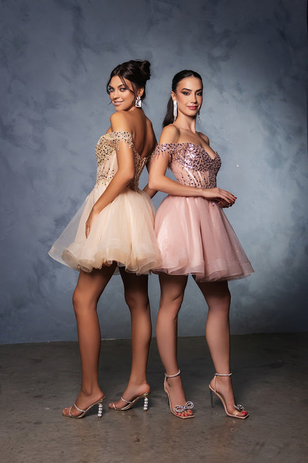 Wholesale Graduation Off Shoulder Sleeveless Hoco Dress By LA2129