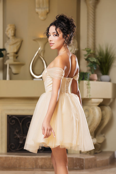 Wholesale Cocktail Sweetheart Off The Shoulder A-Line Hoco Dress By LA2159
