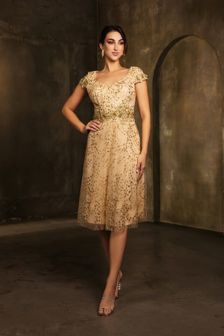 Wholesale Mother Of The Bride V-Neck Sequin A-Line Dress By LA2162