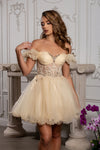 Load image into Gallery viewer, Wholesale Semi-Formal Dress Sweetheart A-Line Cocktail By LA2164