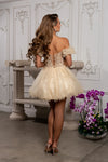 Load image into Gallery viewer, Wholesale Semi-Formal Dress Sweetheart A-Line Cocktail By LA2164