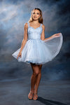 Load image into Gallery viewer, Wholesale Floral Appliqué Sweetheart Cocktail A-Line Dress Wide Strap Glitter Tulle by LA2225 - BABYBLUE - Short Cocktail Dresses LA Merchandise