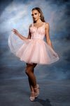 Load image into Gallery viewer, Wholesale Floral Appliqué Sweetheart Cocktail A-Line Dress Wide Strap Glitter Tulle by LA2225 - - Short Cocktail Dresses LA Merchandise