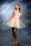 Load image into Gallery viewer, Wholesale Floral Appliqué Sweetheart Cocktail A-Line Dress Wide Strap Glitter Tulle by LA2225 - CHAMPAGNE - Short Cocktail Dresses LA Merchandise