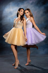 Load image into Gallery viewer, Wholesale Illusion Plunging Sweetheart Rhinestone Beaded Bodice A-Line Homecoming Dress by LA2243 - - Short Dress LA Merchandise