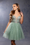Load image into Gallery viewer, Wholesale Illusion Plunging Sweetheart Rhinestone Beaded Bodice A-Line Homecoming Dress by LA2243 - - Short Dress LA Merchandise