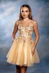 Load image into Gallery viewer, Wholesale Plunging Illusion V-Neck Floral Embroidered Bodice A-Line Homecoming Dress by LA2246 - - Short Dress LA Merchandise