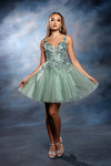 Load image into Gallery viewer, Wholesale Plunging Illusion V-Neck Floral Embroidered Bodice A-Line Homecoming Dress by LA2246 - - Short Dress LA Merchandise