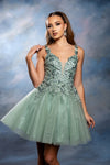 Load image into Gallery viewer, Wholesale Plunging Illusion V-Neck Floral Embroidered Bodice A-Line Homecoming Dress by LA2246 - - Short Dress LA Merchandise