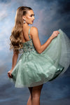 Load image into Gallery viewer, Wholesale Plunging Illusion V-Neck Floral Embroidered Bodice A-Line Homecoming Dress by LA2246 - - Short Dress LA Merchandise