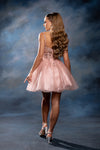 Load image into Gallery viewer, Wholesale Plunging Illusion V-Neck Floral Embroidered Bodice A-Line Homecoming Dress by LA2246 - - Short Dress LA Merchandise
