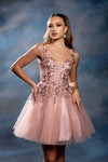 Load image into Gallery viewer, Wholesale Plunging Illusion V-Neck Floral Embroidered Bodice A-Line Homecoming Dress by LA2246 - - Short Dress LA Merchandise