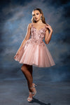 Load image into Gallery viewer, Wholesale Plunging Illusion V-Neck Floral Embroidered Bodice A-Line Homecoming Dress by LA2246 - - Short Dress LA Merchandise