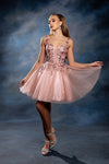 Load image into Gallery viewer, Wholesale Plunging Illusion V-Neck Floral Embroidered Bodice A-Line Homecoming Dress by LA2246 - - Short Dress LA Merchandise