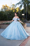 Load image into Gallery viewer, LA Merchandise LA245 Floral Applique Sheer Glitter Quinceanera Gown
