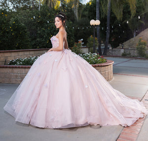 LA Merchandise LA246 Butterfly Applique Strapless Quince Ball Gown