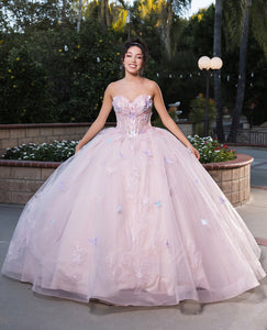 LA Merchandise LA246 Butterfly Applique Strapless Quince Ball Gown