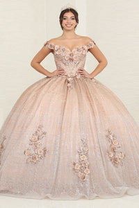 LA Merchandise LA255 Floral Appliqued Sequin Quince Ball Gown - CHAMPAGNE - LA Merchandise