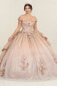 LA Merchandise LA255 Floral Appliqued Sequin Quince Ball Gown - - LA Merchandise