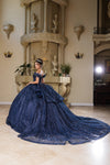 Load image into Gallery viewer, Wholesale Sweet 16 Dress Off Shoulder Floral Lace Gala Gown By LA265