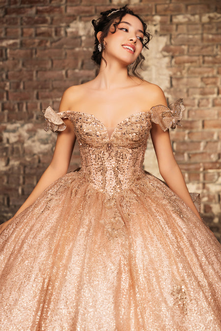 Wholesale Sweet 16 Dress Off Shoulder Floral Lace Gala Gown By LA265